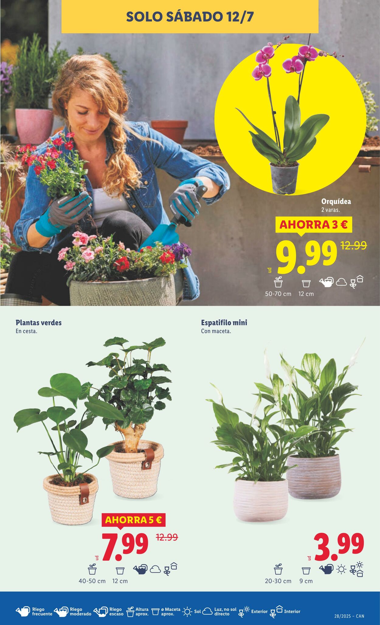 Folleto Lidl 07.07.2025 - 13.07.2025
