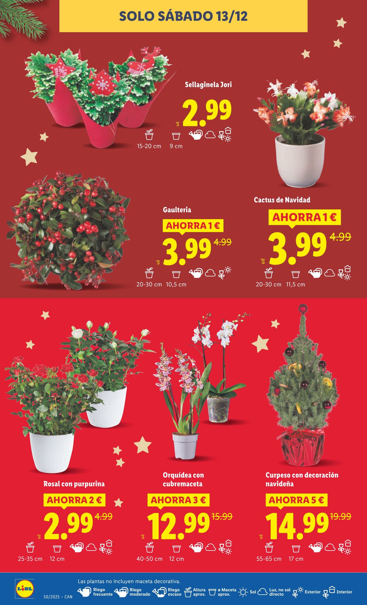 Folleto Lidl 08.12.2025 - 14.12.2025