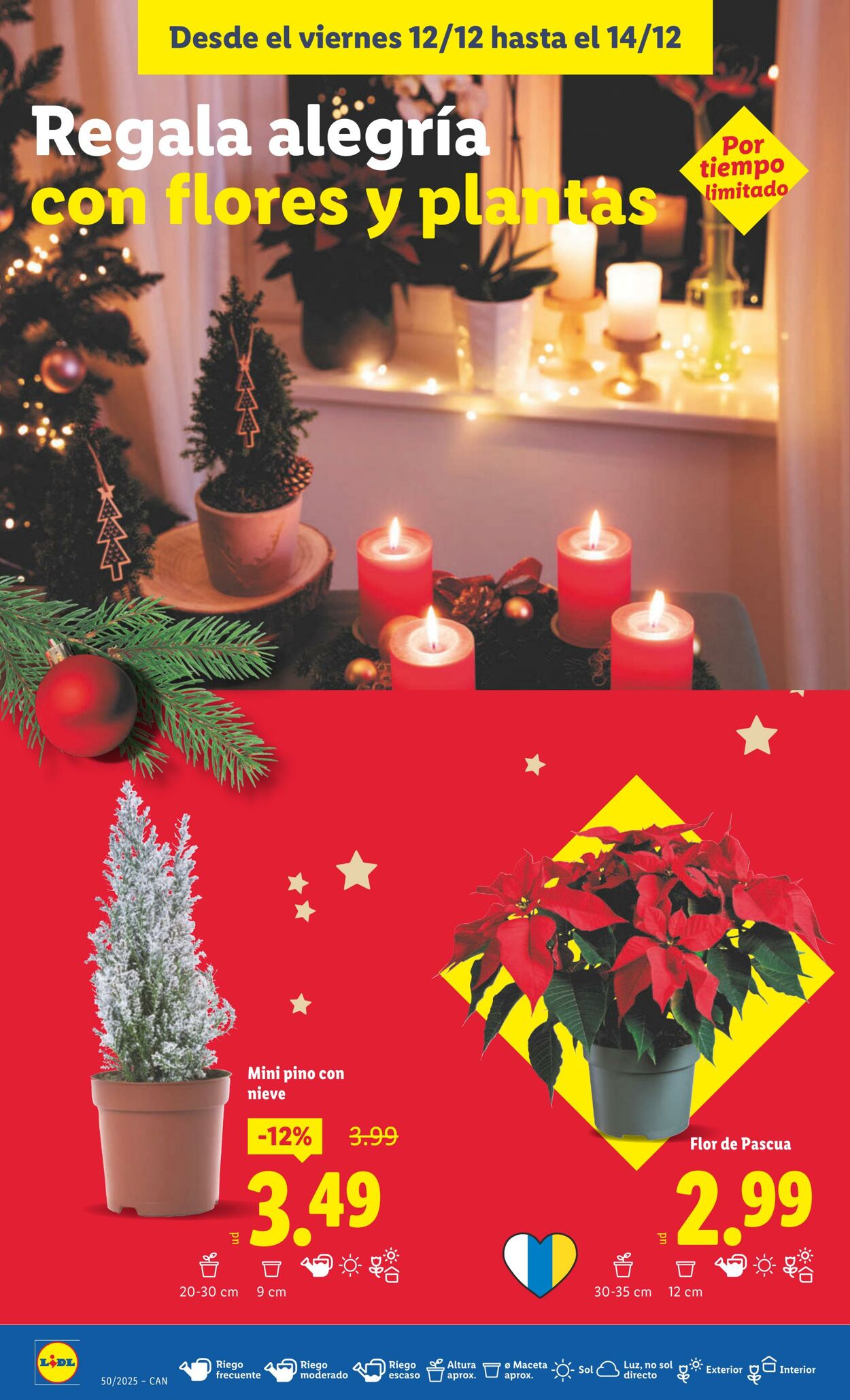 Folleto Lidl 08.12.2025 - 14.12.2025