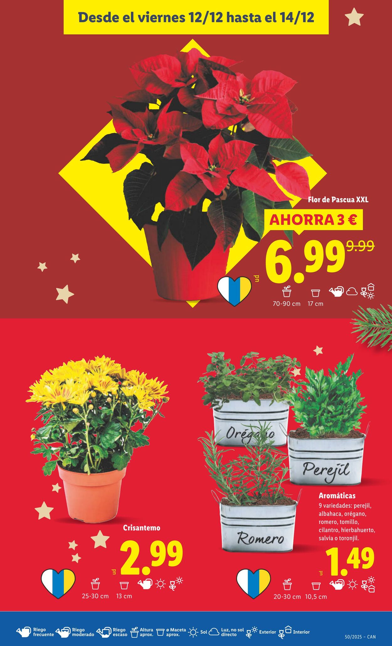 Folleto Lidl 08.12.2025 - 14.12.2025