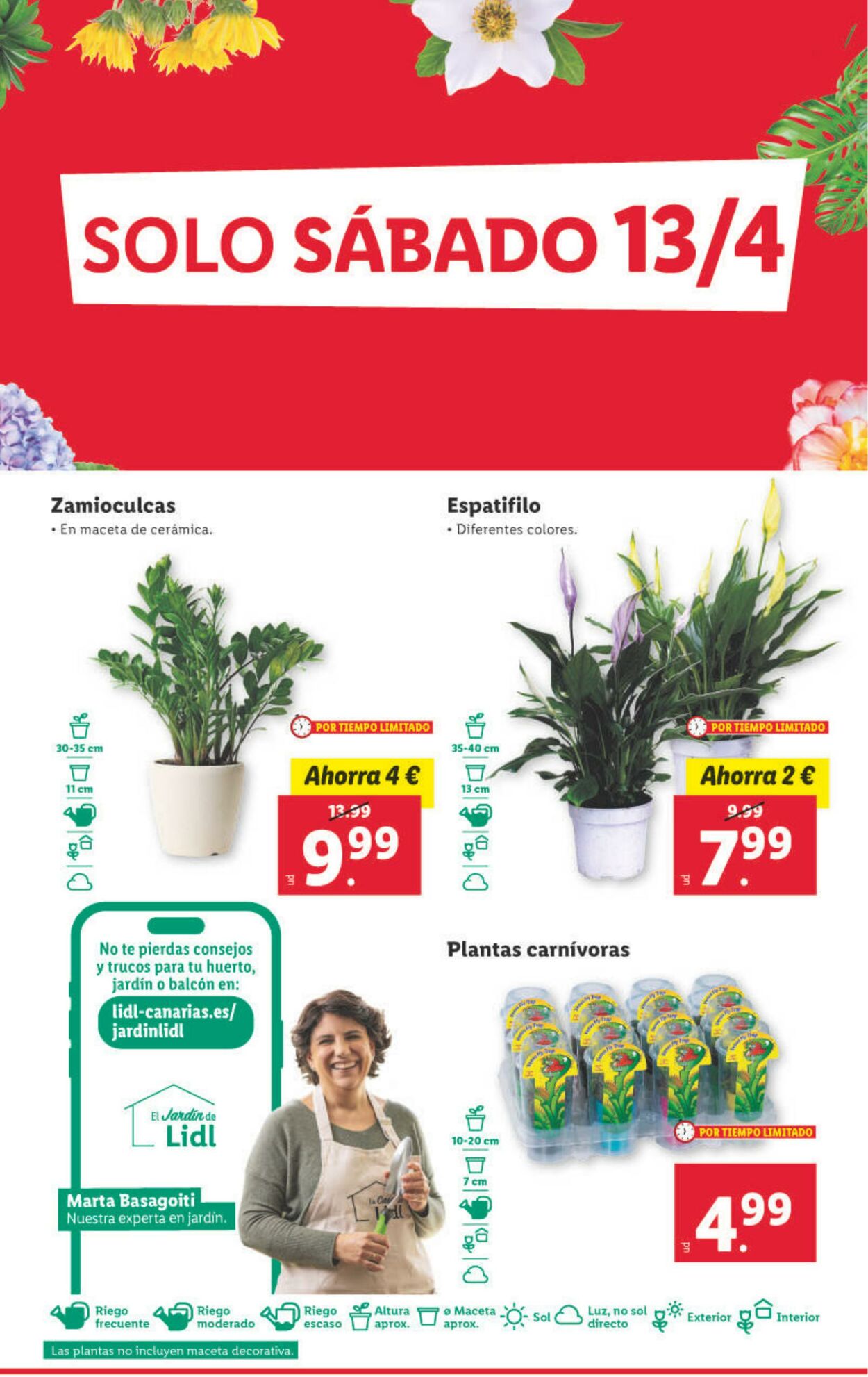 Folleto Lidl 08.04.2024 - 14.04.2024