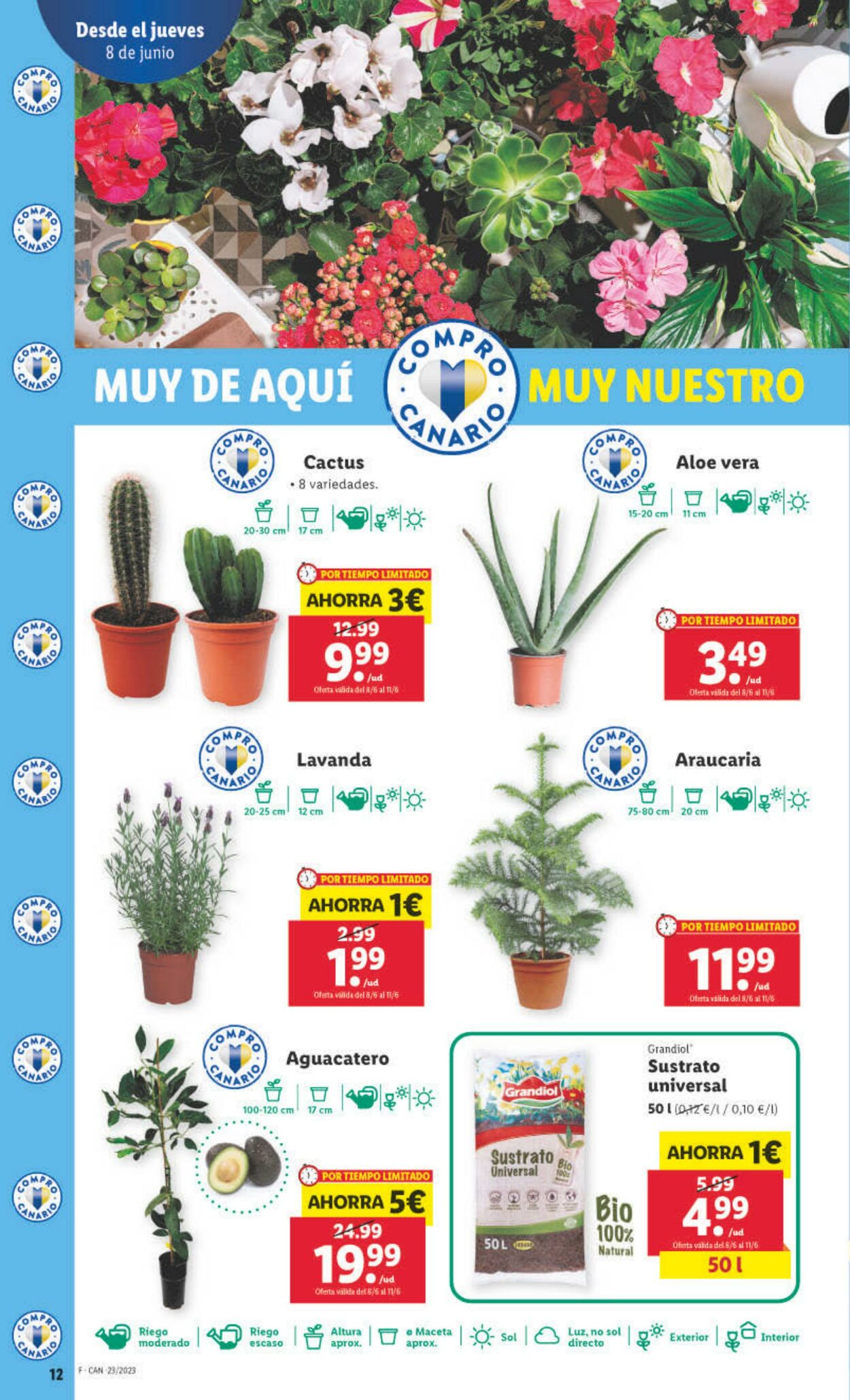 Folleto Lidl 08.06.2023 - 14.06.2023