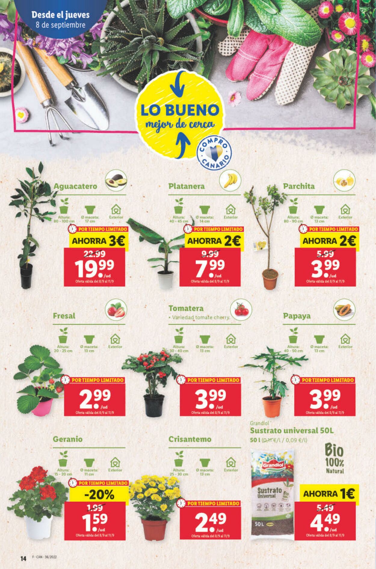 Folleto Lidl 08.09.2022 - 14.09.2022