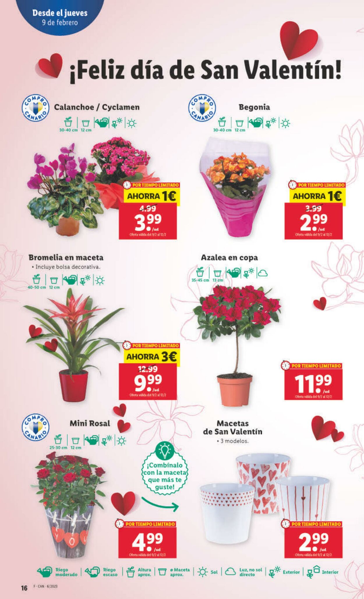 Folleto Lidl 09.02.2023 - 15.02.2023