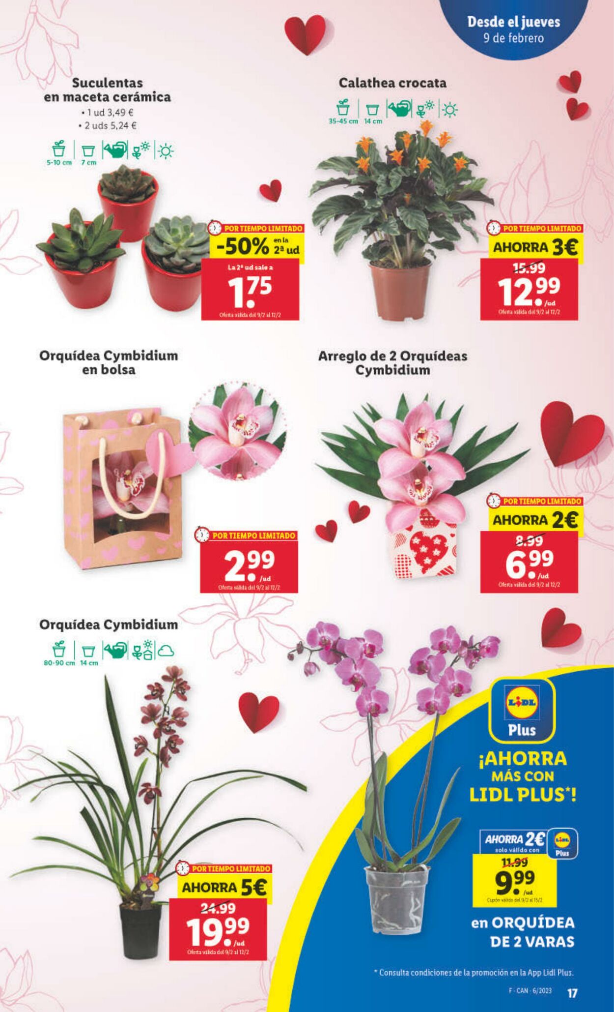 Folleto Lidl 09.02.2023 - 15.02.2023