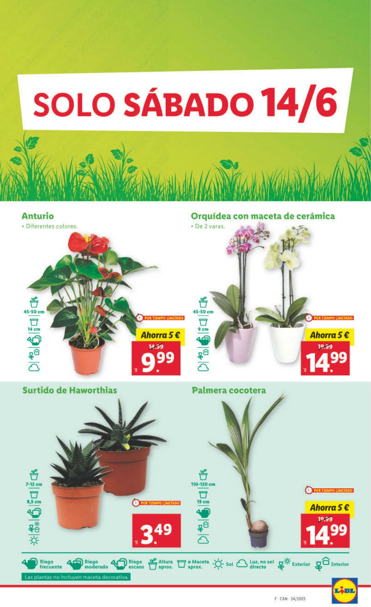Folleto Lidl 09.06.2025 - 15.06.2025