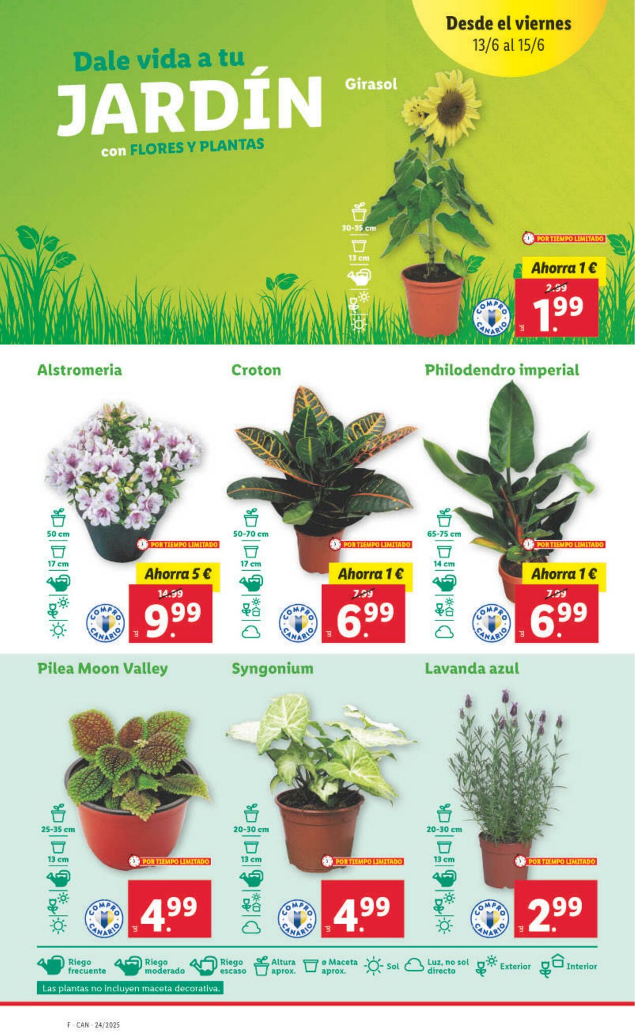 Folleto Lidl 09.06.2025 - 15.06.2025