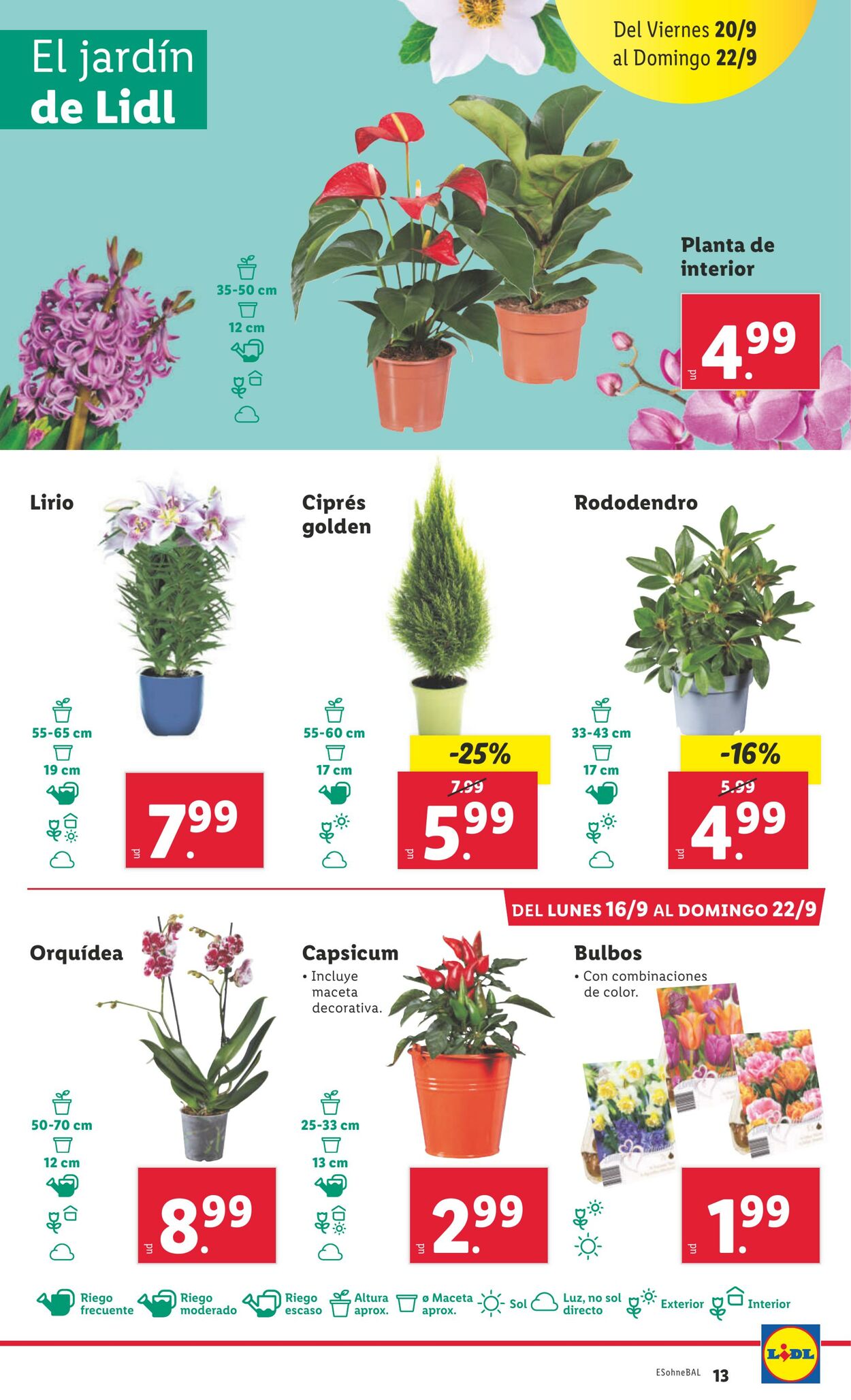 Folleto Lidl 16.09.2024 - 22.09.2024