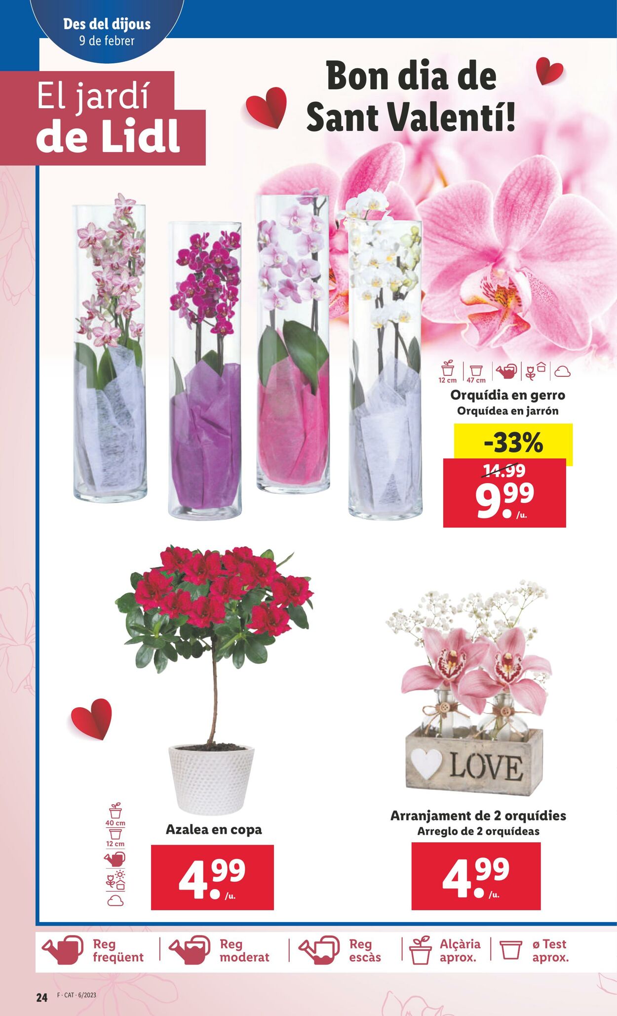 Folleto Lidl 09.02.2023 - 15.02.2023