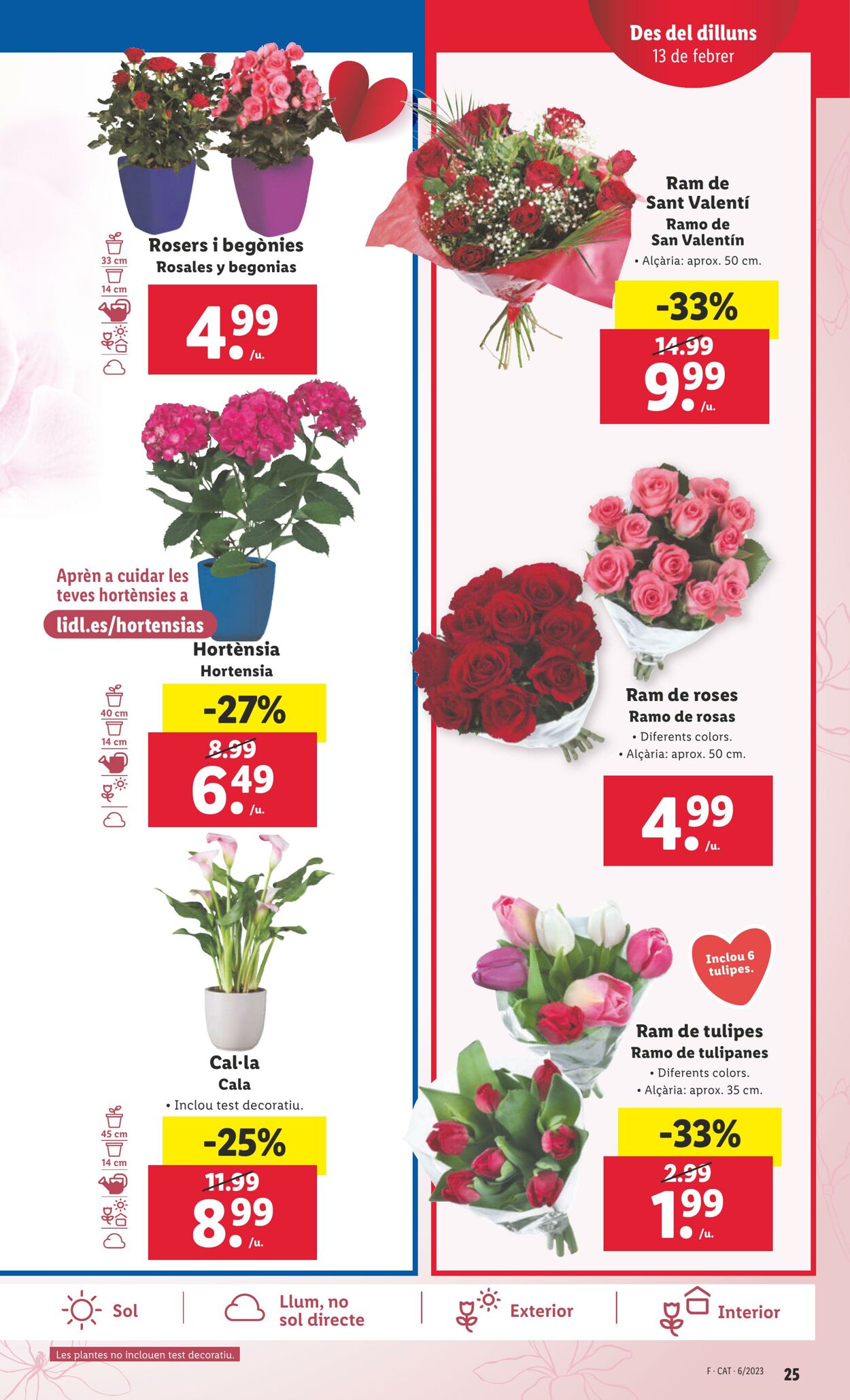 Folleto Lidl 09.02.2023 - 15.02.2023