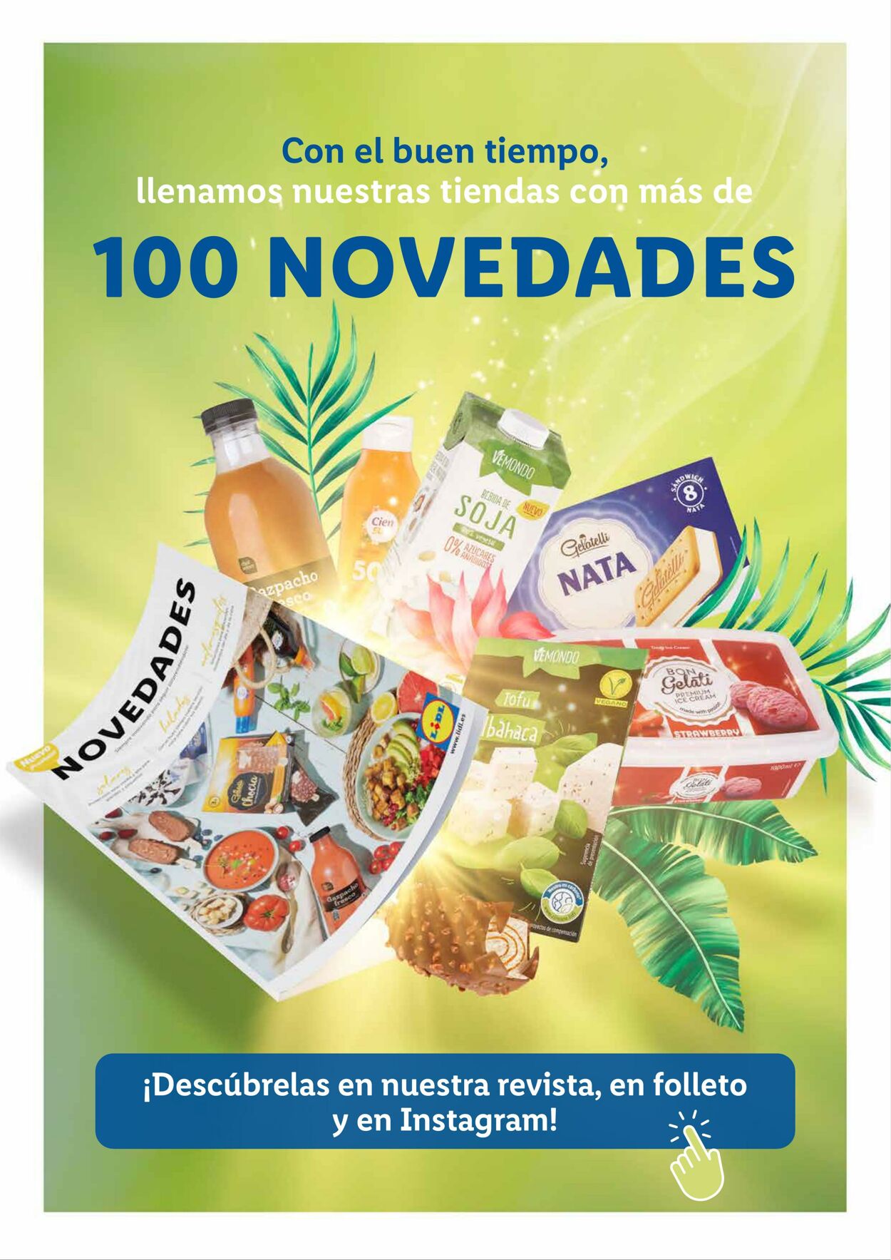 Folleto Actual Lidl - Islas Canarias - Válido Del 01.02 Al 31.12 ...