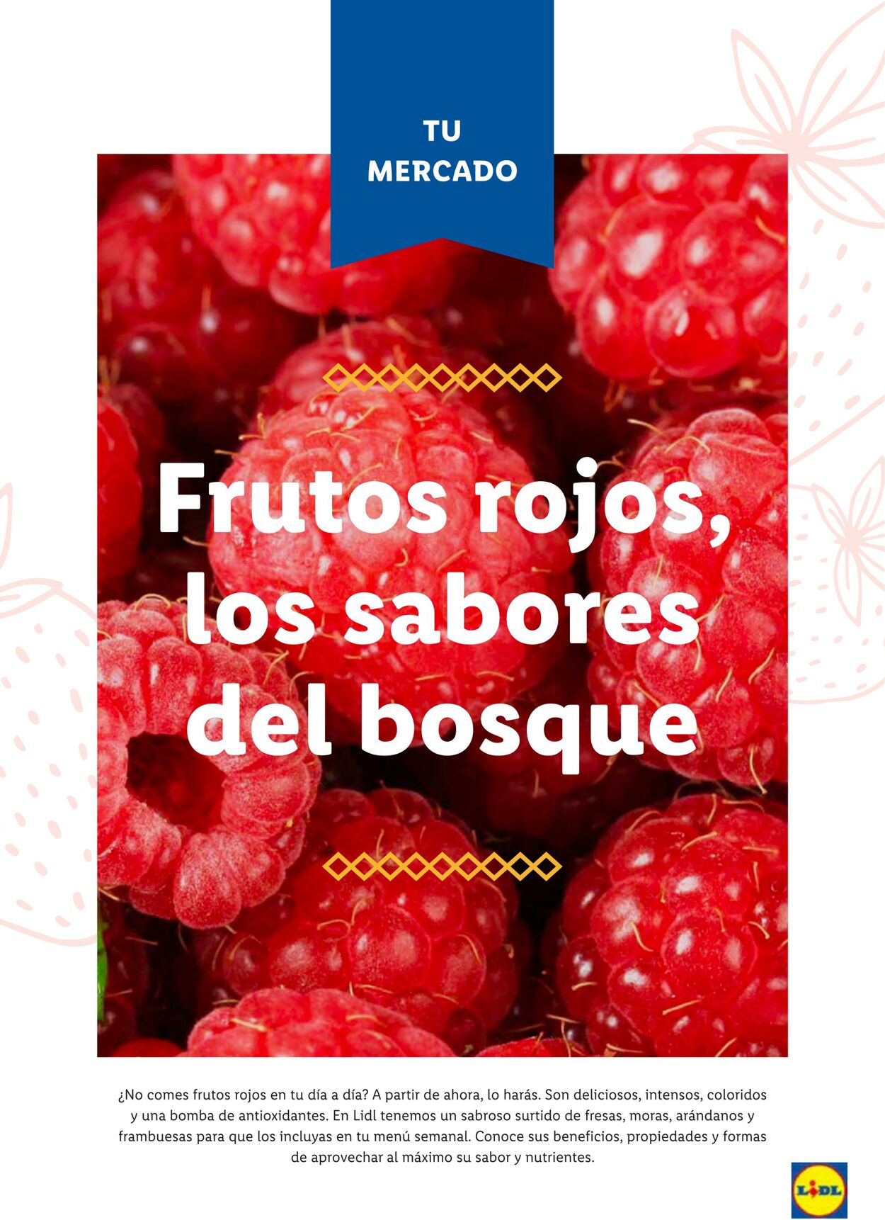 Folleto Lidl 01.04.2023 - 30.04.2023