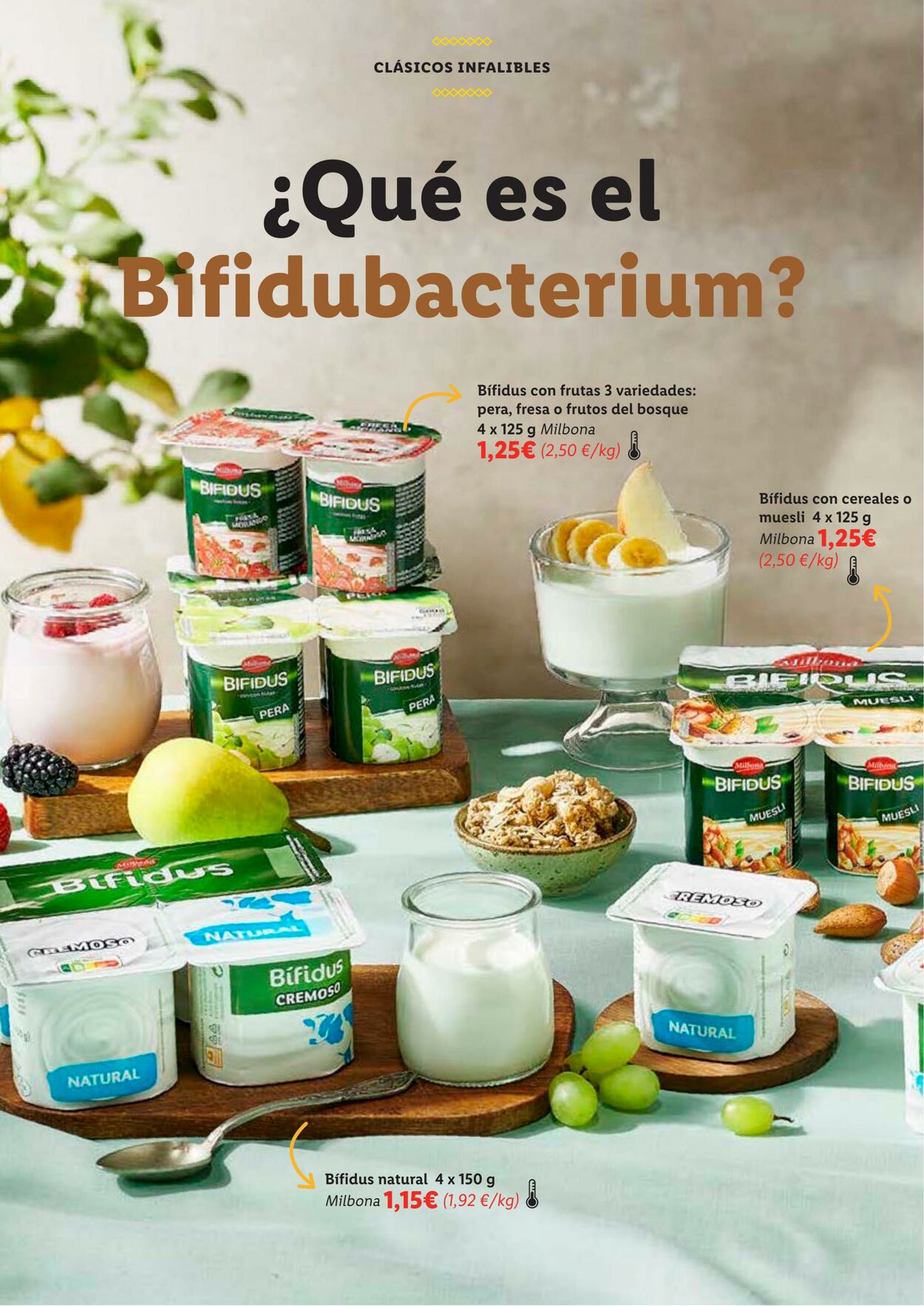 Folleto Lidl 01.04.2023 - 30.04.2023