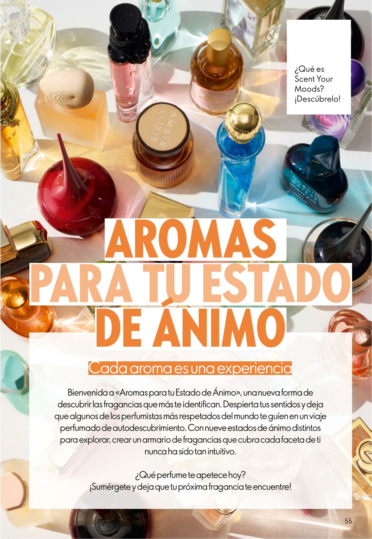 Folleto Oriflame 08.10.2025 - 28.10.2025