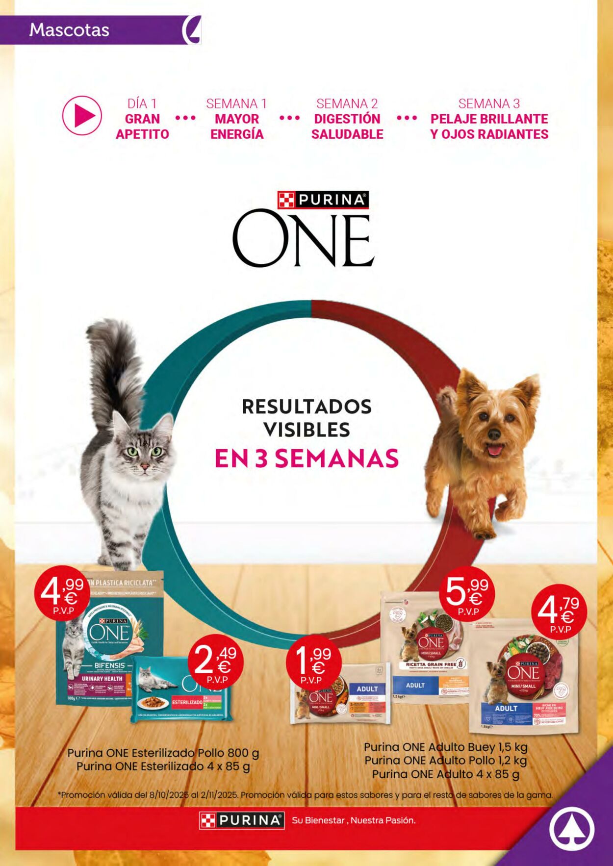 Folleto SPAR 08.10.2025 - 02.11.2025