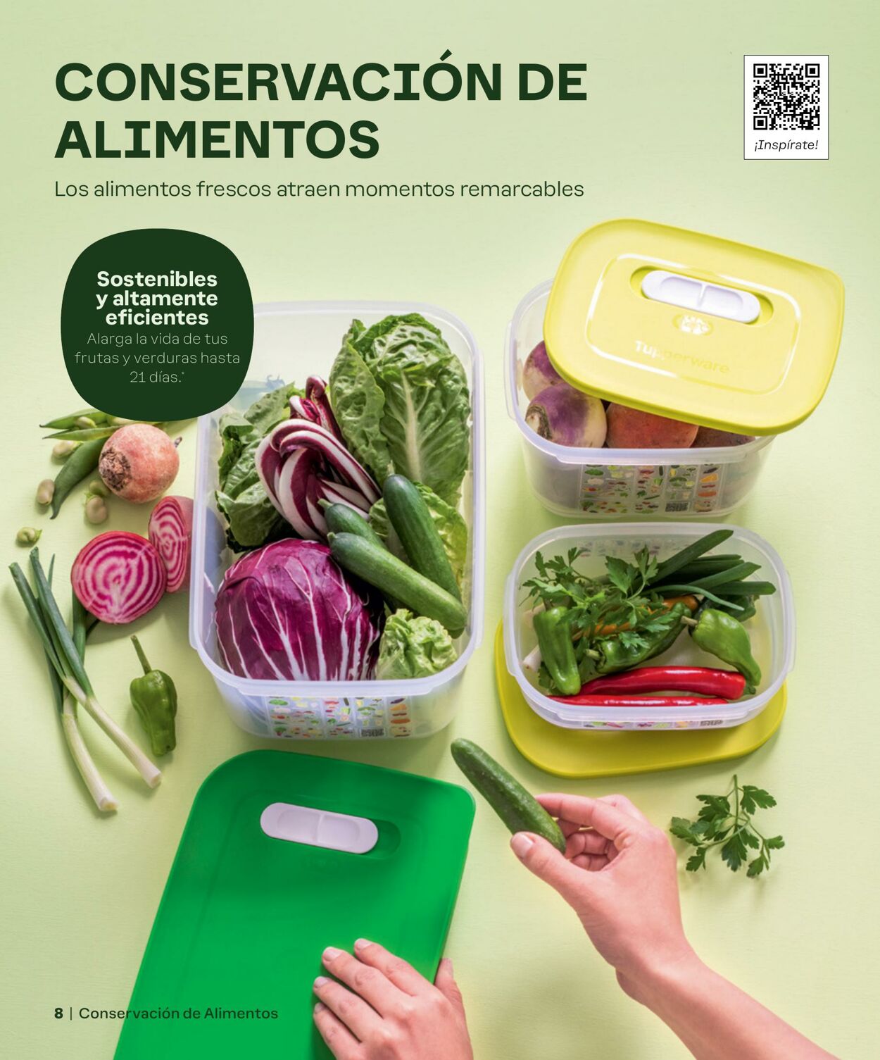 Folleto Tupperware 05.03.2024 - 31.03.2024