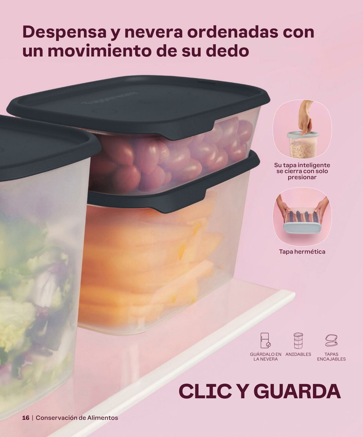 Folleto Tupperware 05.03.2024 - 31.03.2024