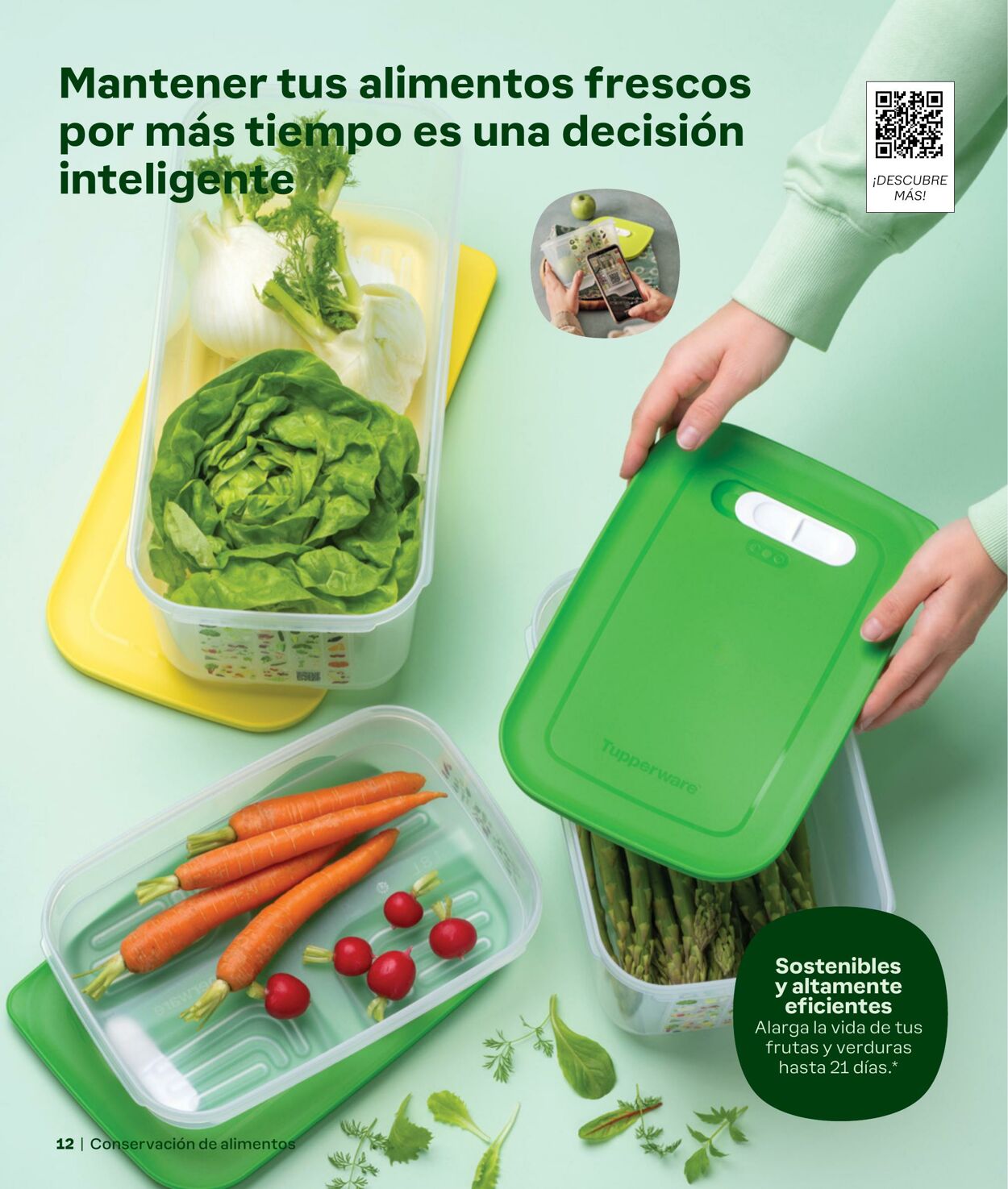 Folleto Tupperware 01.09.2024 - 31.01.2025